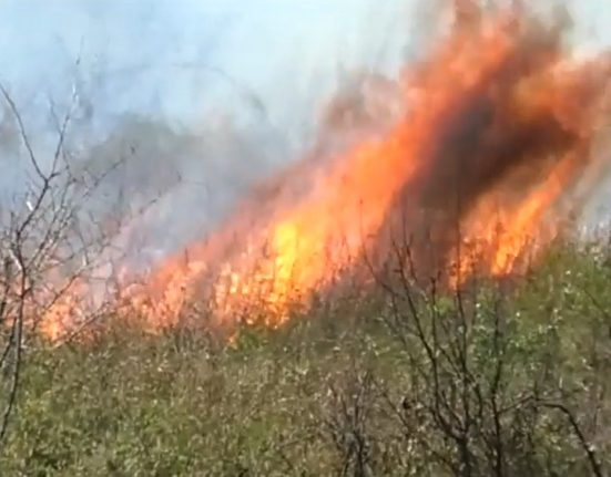 Un incendiu de vegetatie a distrus o gospodarie in Mehedinti