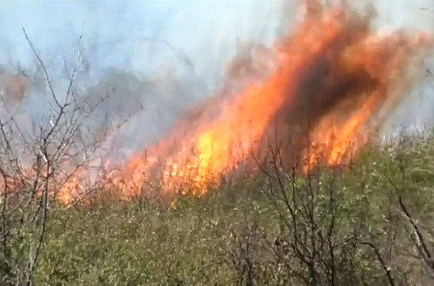 Un incendiu de vegetatie a distrus o gospodarie in Mehedinti