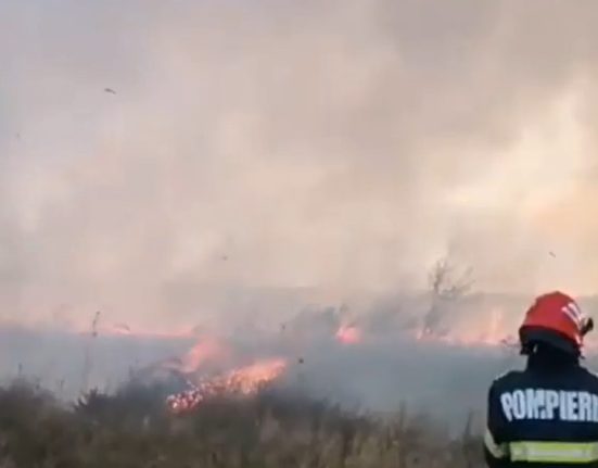 incendiu devastator in tulcea 15 hectare distruse