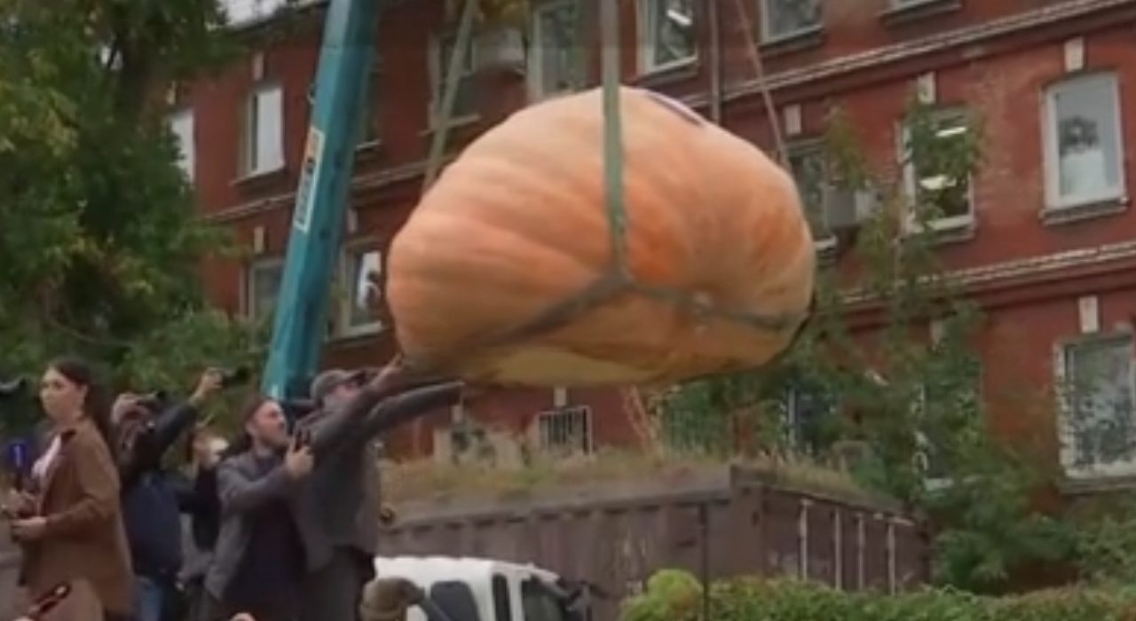 Dovleacul gigant de 969 kg crescut de fermierii rusi