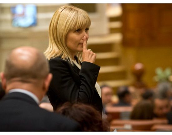Elena Udrea afirma ca a fost audiate in cazul Coldea