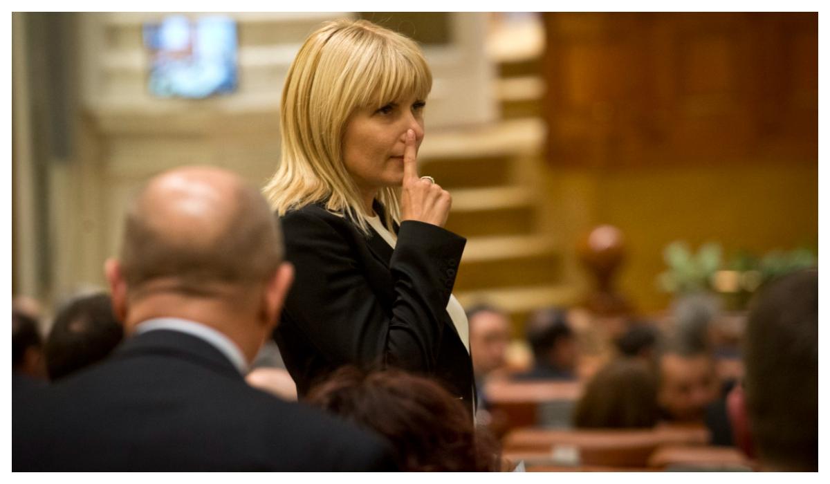 Elena Udrea afirma ca a fost audiate in cazul Coldea