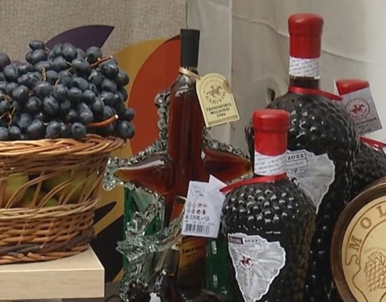 Festivalul vinului moldovenesc la Bucuresti cost degustare 10 vinuri