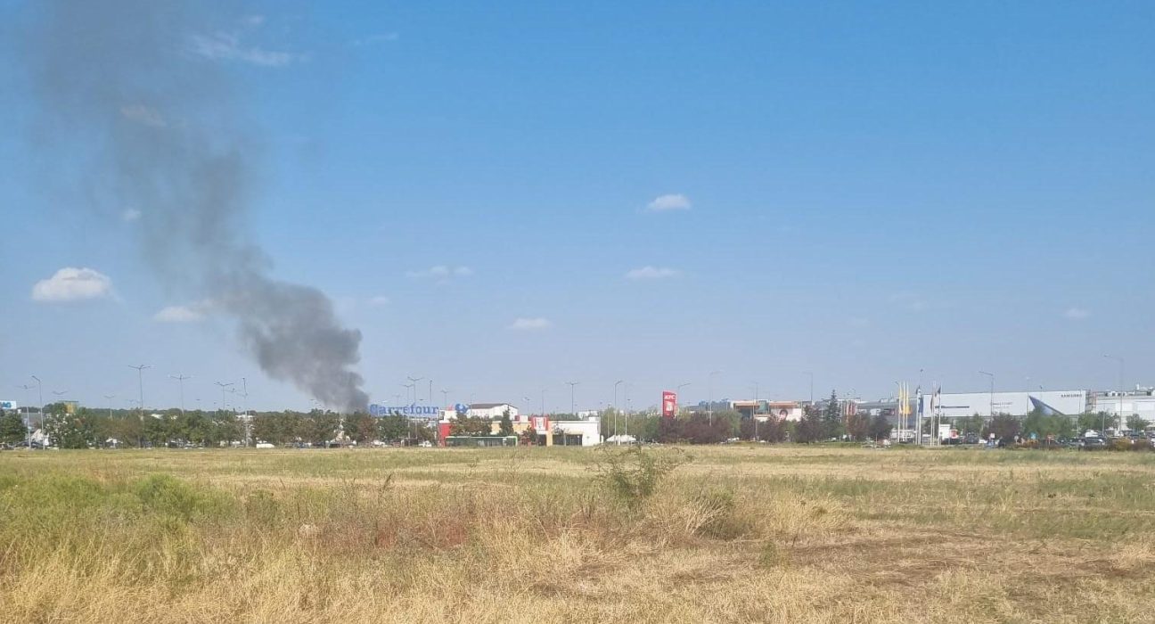 Incendiu la Grdina Zoologica din Bucuresti pompierii intervin