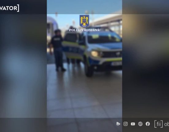 Nepotul lui Gheorghe Dinca retinut pentru furt
