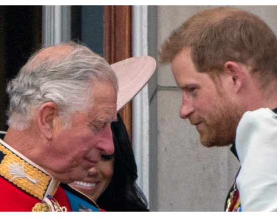 Regele Charles si Prinul Harry impreuna dupa doi ani Ce au discutat