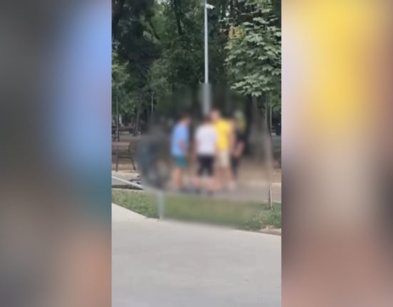 Scene violente intr un parc din Braila