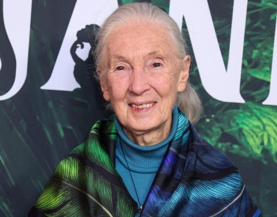 Jane Goodall pioniera cimpanzeilor a murit la 91 de ani