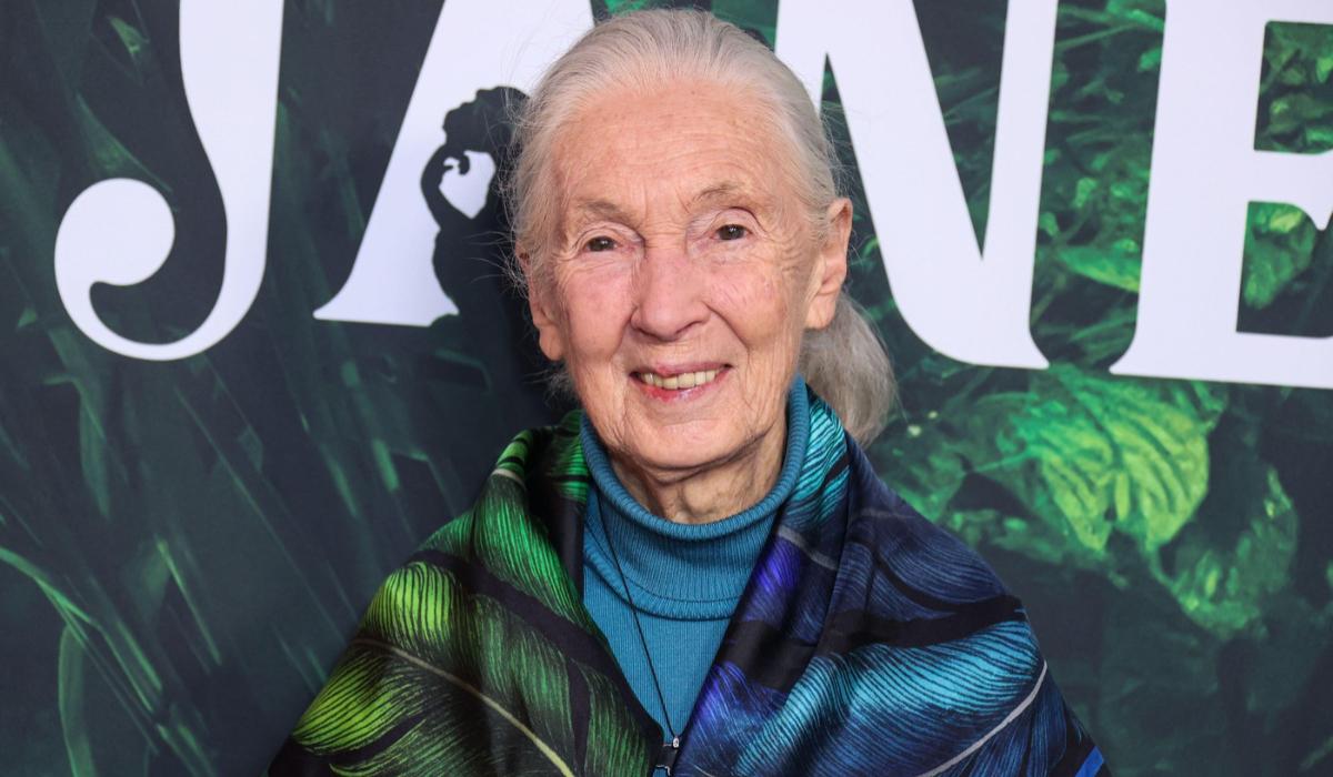 Jane Goodall pioniera cimpanzeilor a murit la 91 de ani